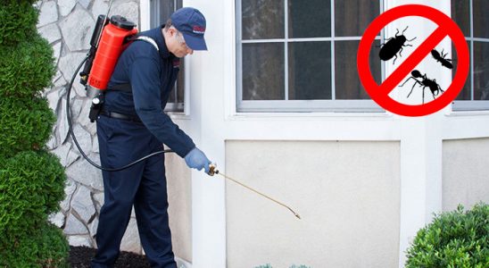 Ağlı Bit İlaçlama böcek ilaçlama ve haşere kontrolü — ilaclama-tr.com